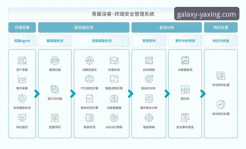 亚星APP移动端下载 亚星体育平台移动端下载策略深度分析:从v2.1.3版本看用户体验与安全架构